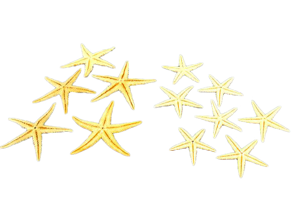 STELLE MARINE 1,5-UP  DIAM CM 3 