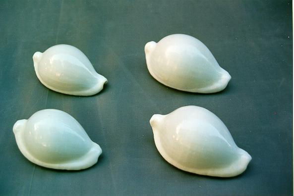OVULA OVUM 