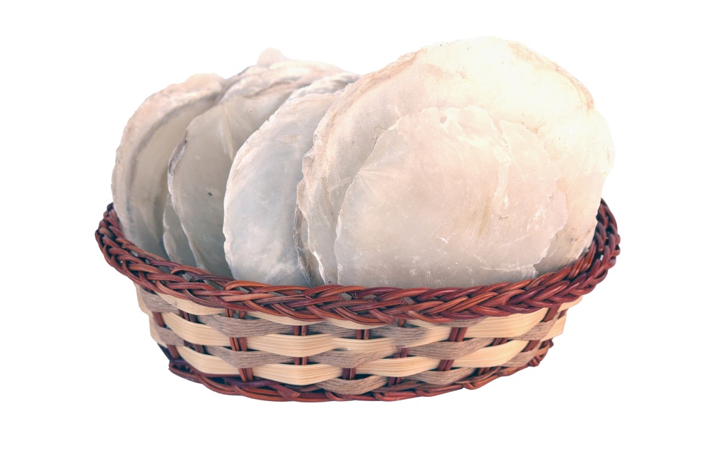 PLACUNA PLACENTA - CF 1 KG 