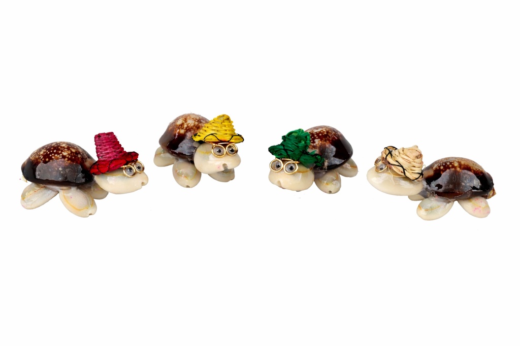 TARTARUGA CAPUT SERPENTIS C/CAPPELLO CM 2*6 