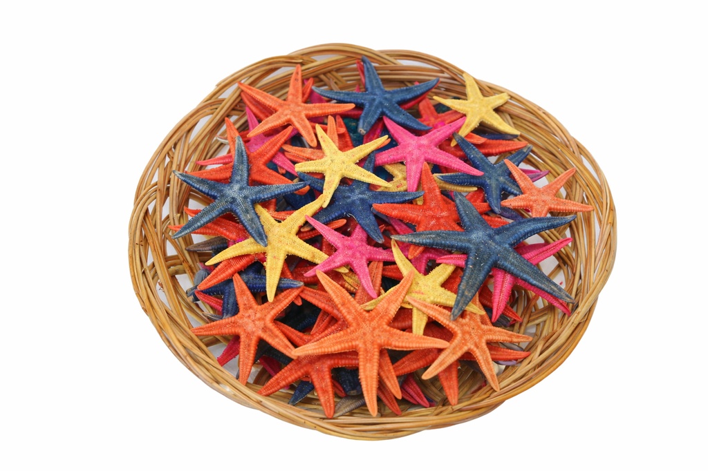 CESTO STELLE MARINE 1,5 COL ASS(100 PCS) CM 3-3,5 