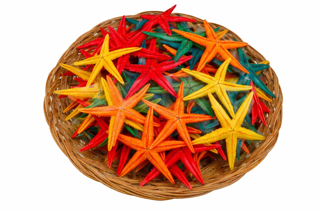 CESTO STELLE MARINE 3,5 UP COL. (100 PZ) CM 8 