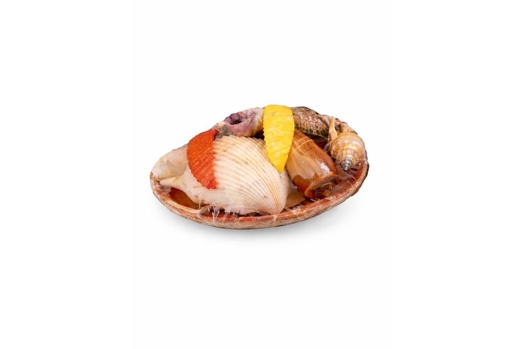 CODACKIA CON CONCHIGLIA CM 6 