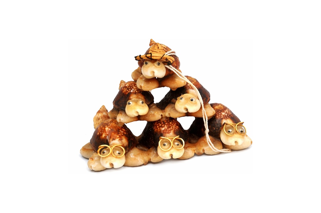 TARTARUGA PIRAMIDE CON CAPPELLO 6 PZ CM 6*8 