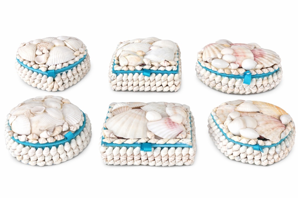 SCATOLA CONCH. BIANCHE GRA C/GLITTER 