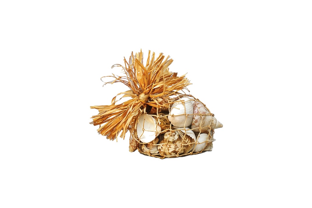 SACCHETTI CONCHIGLIA CORDA GR.350 