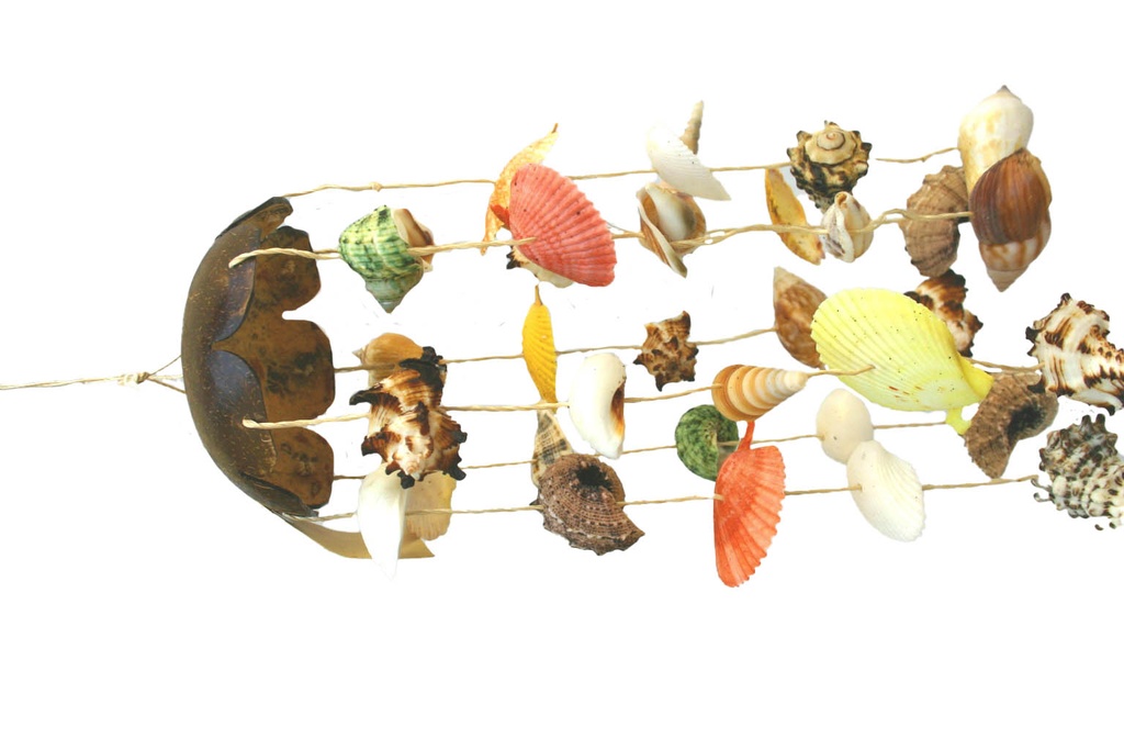 SCACCIAPENSIERI COCCO c/CONCHIGLIE CM 35 