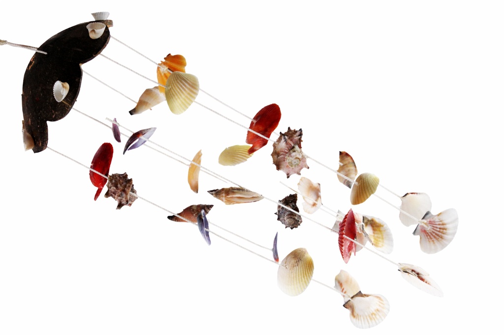 SCACCIAPENSIERI FIORE COCCO C/CONCHIGLIE CM 42 
