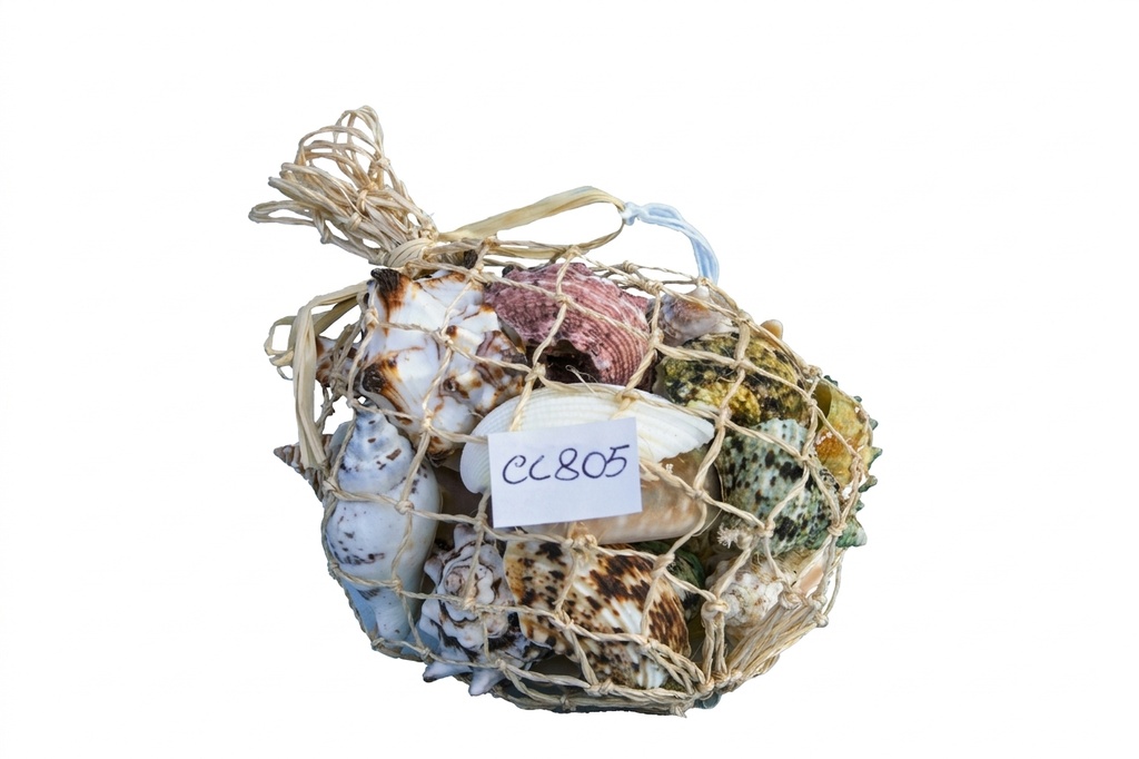 SACCHETTI CONCHIGLIA CORDA GR.200 