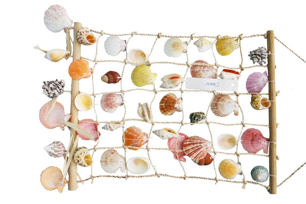 RETE c/CONCHIGLIE BIANCHE 48x36cm 