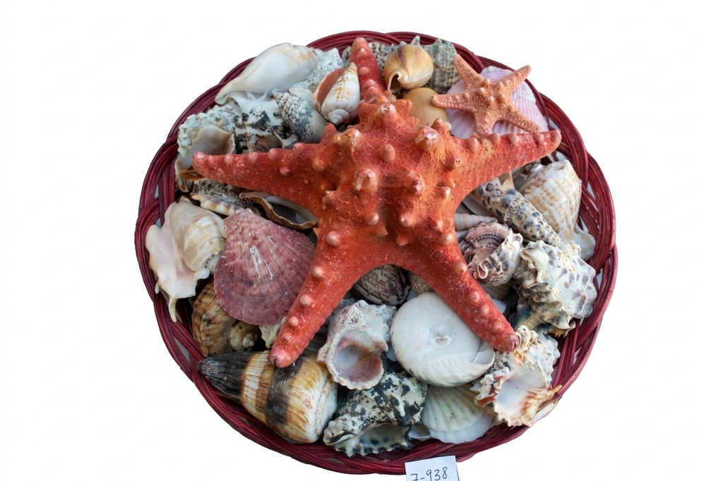 CESTINO COL.12" C/CONC+STELLA LONG COL 7-8" CM30 