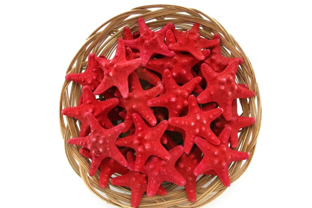 CESTINO 8" C/24 STELLE LONG 2-3" ROSSE DIAM CM 7 