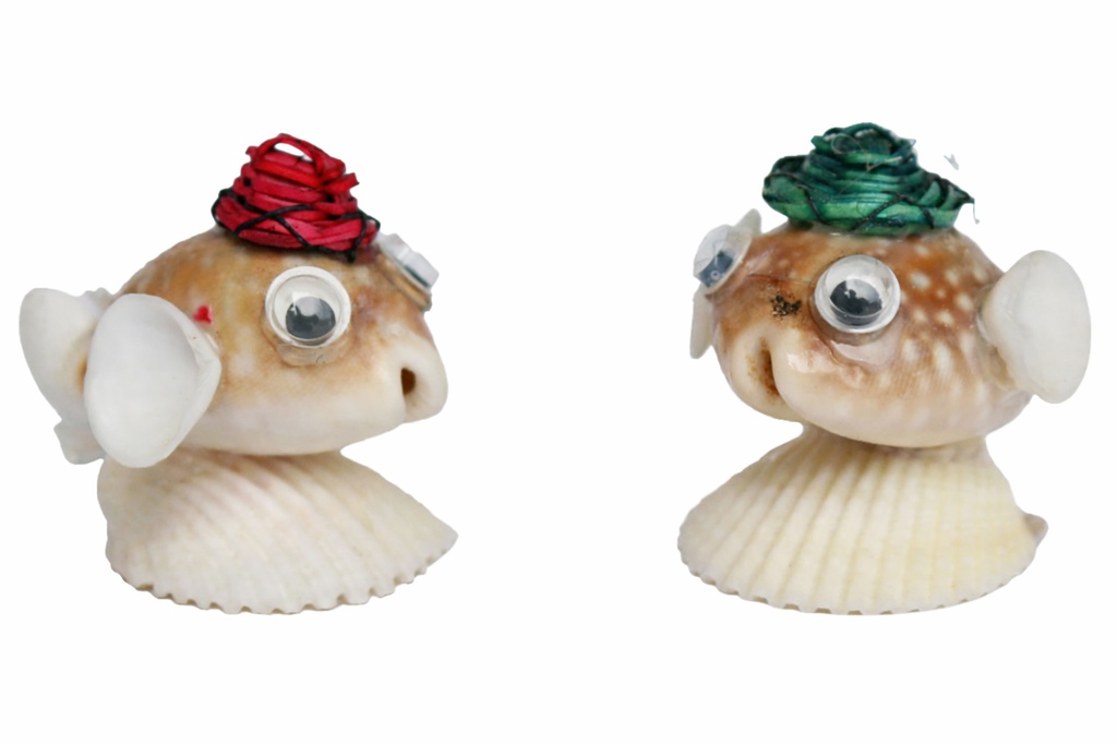 PESCE CYPREA VITELLUS C/CAPPELLO IN COL ASS CM 4*6 