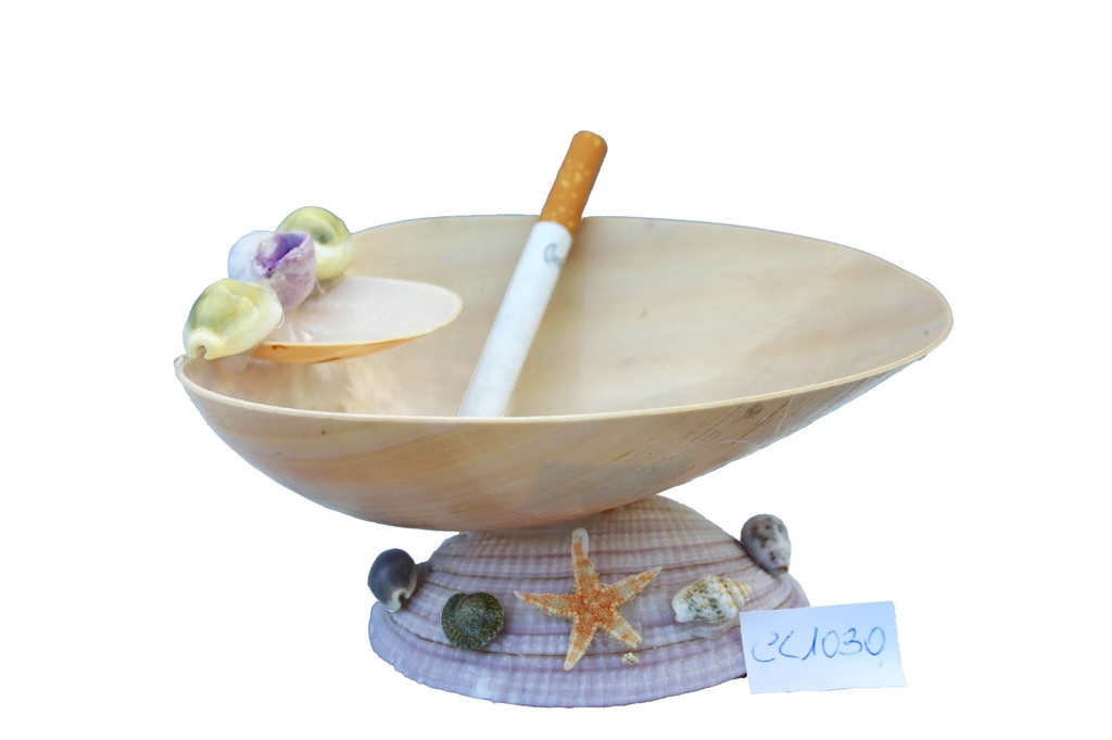 POSACENERE MELO TAGLIATO BASE CODACKIA CM 15*5.5 