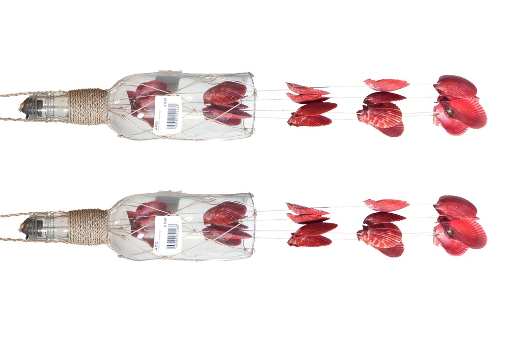 BOTTIGLIA VETRO SCACCIAP CON PECTEN NOBILIS CM 60 