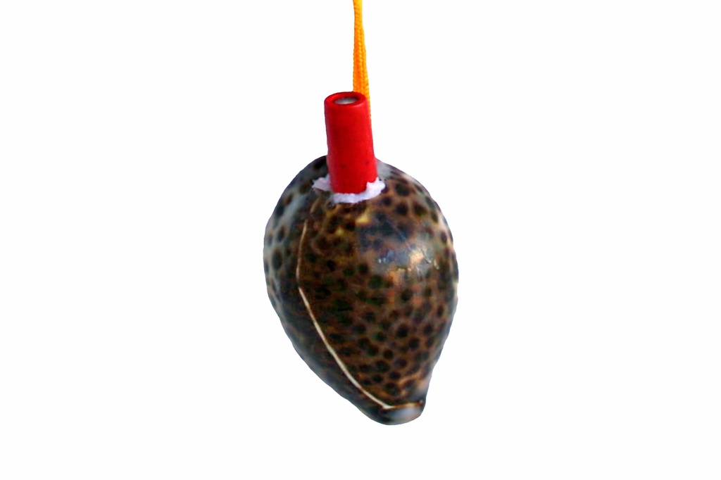 TROMBETTE C/CONCHIGLIE TIGRINO CM 40 