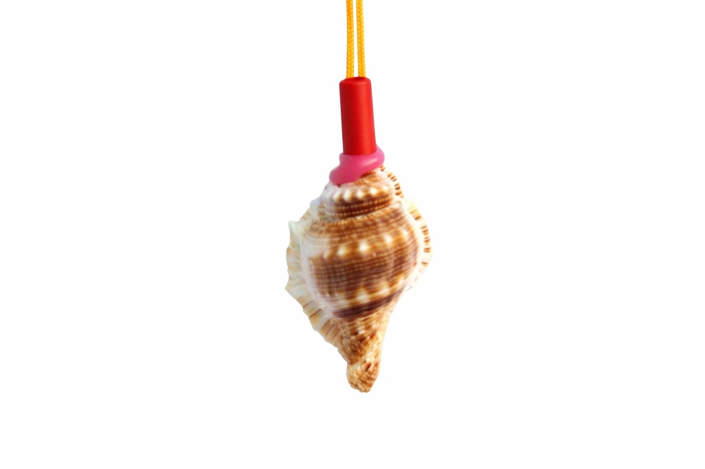 TROMBETTE C/CONCHIGLIE BURSA RANA CM 40 