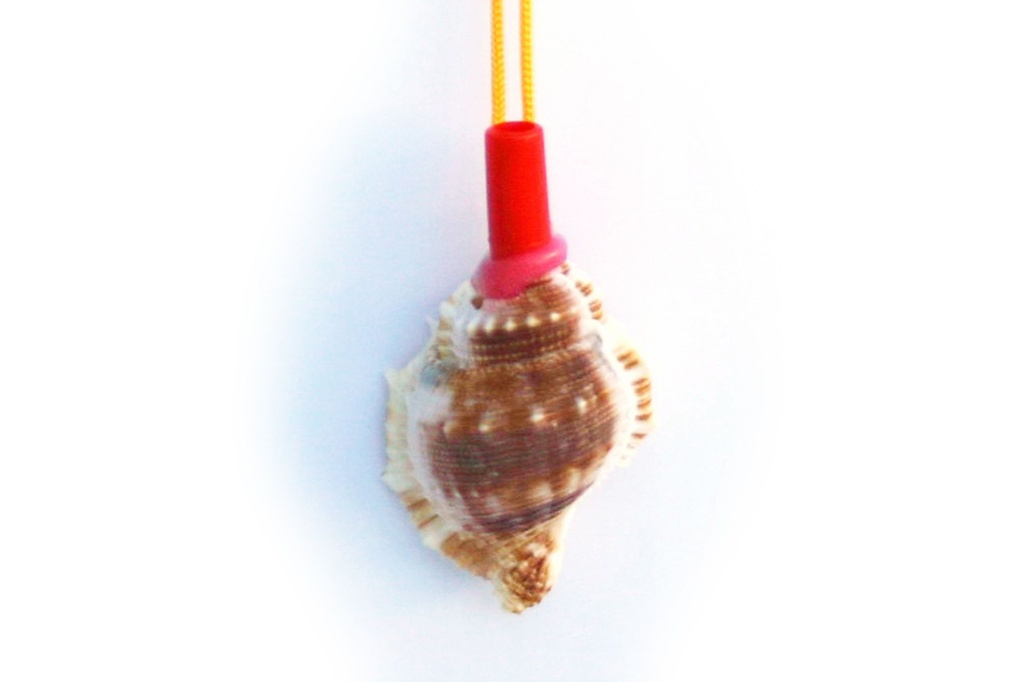 TROMBETTE C/CONCHIGLIE BURSA RANA CM 40 