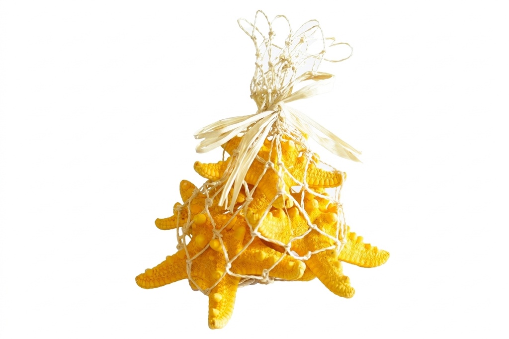 RETE CORDA C/RAFFIA+5 STELLE LONG ARANCIO 16*14 