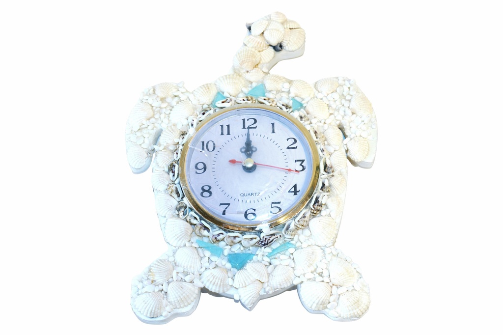 OROLOGIO CONCHIGLIE TARTARUGA CM 21*17 
