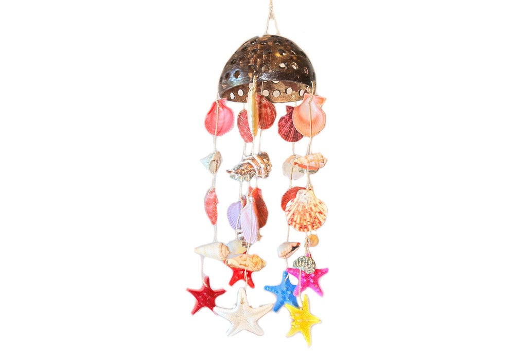 SCACCIAP COCCO TRAFORATO C/7 FILE CONC+STELLE ASS 