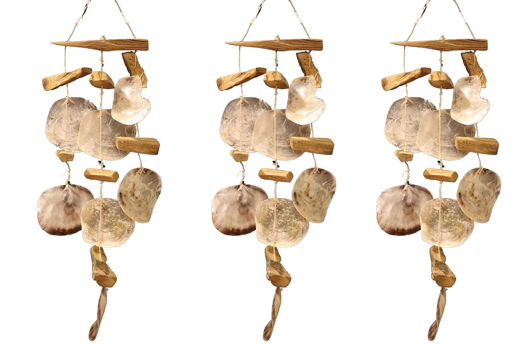 SCACCIAPENSIERI LEGNETTI E PLACUNA 