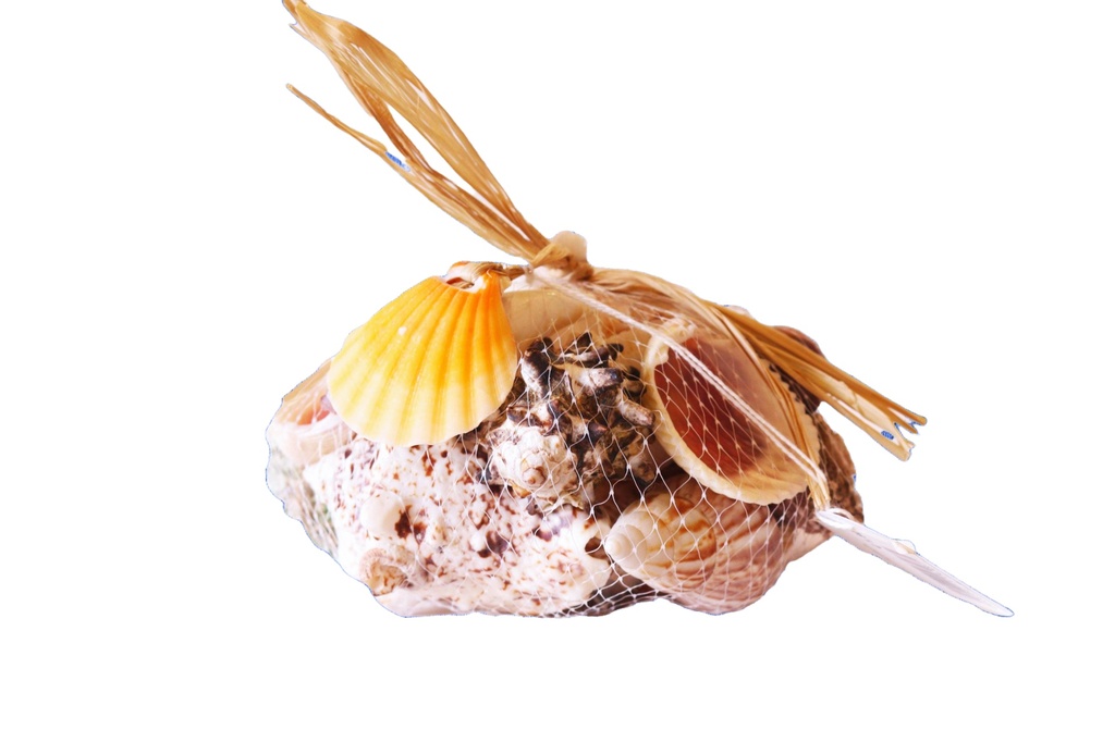 SACCHETTO NYLON C/CONCH/RAFFIA/LEGNETTI GR 500 