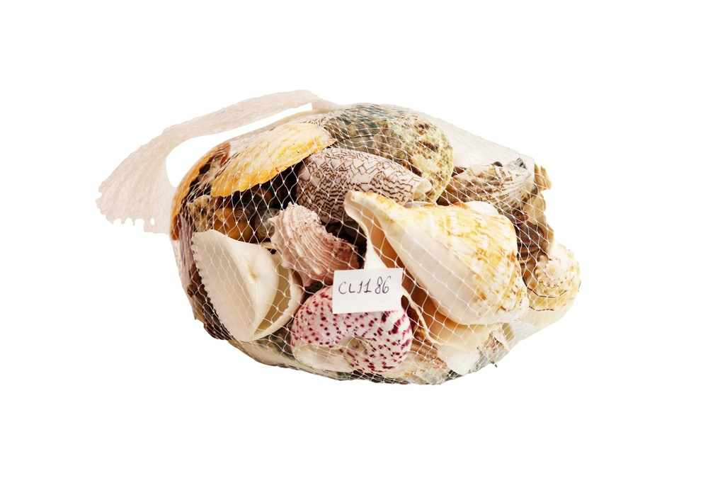 SACCHETTO NYLON C/CONCH/RAFFIA/LEGNETTI GR 1000 