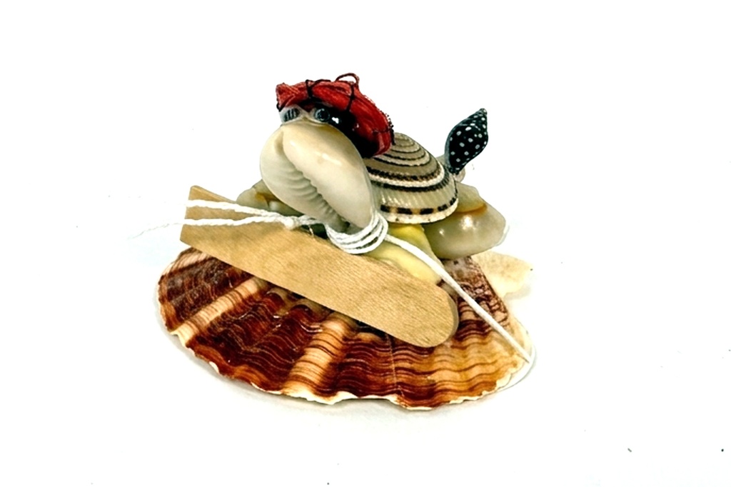 TARTARUGA CONCH SUNDIAL SU BASE PECTEN+TARTA LEGNO 