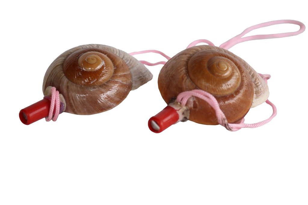 TROMBETTA RISOTTA LAMARKIANA 