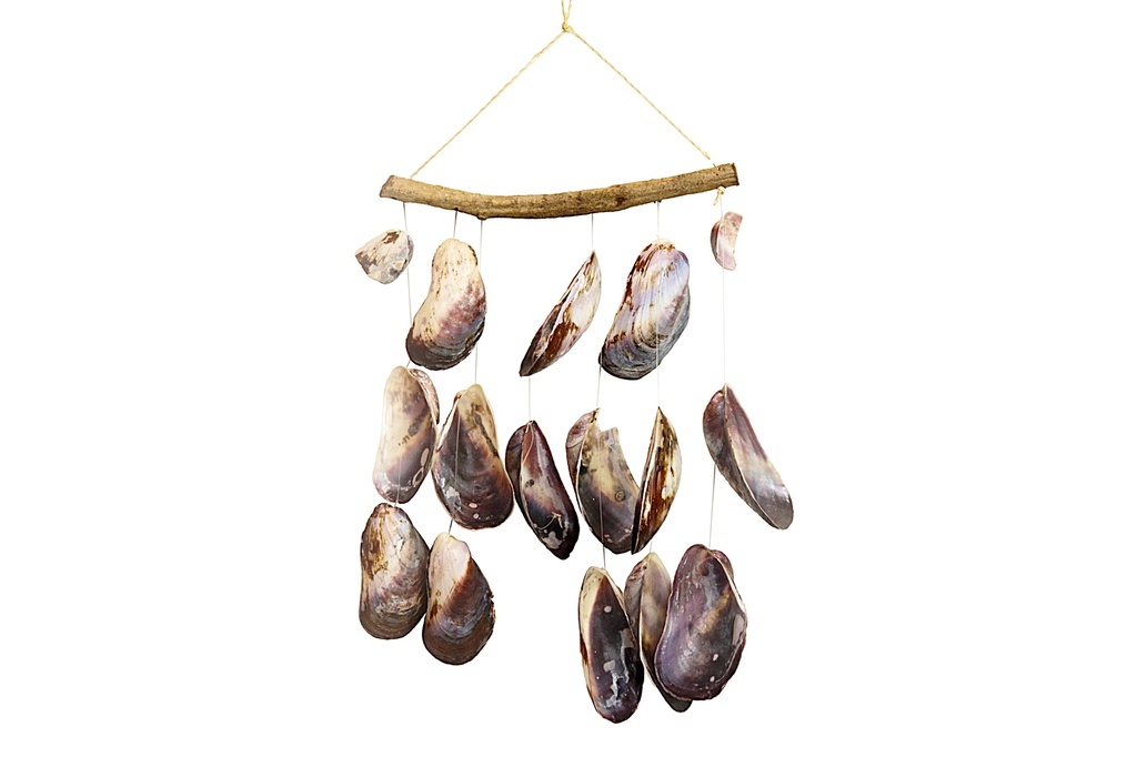 SCACCIAP. LEGNO CURVO C/6 FILE PURPLE MUSSEL 