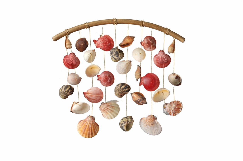 CORDA D'APP STELLA MARINA E CONCH ASS 