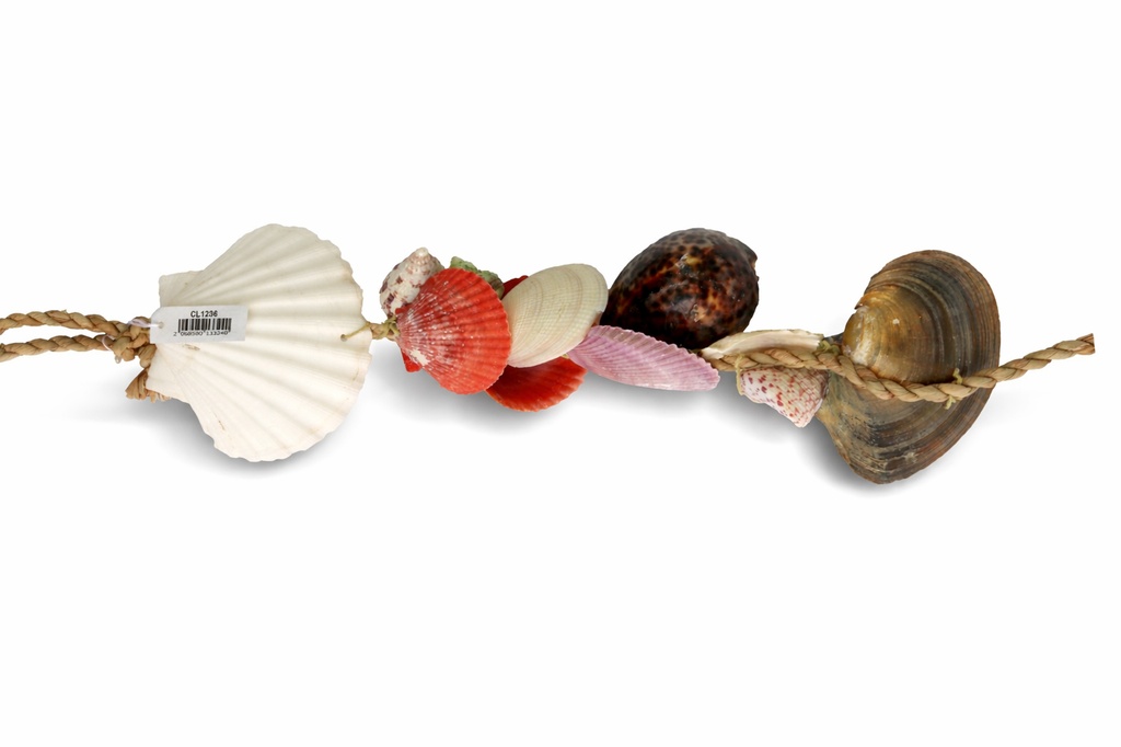 CORDA D'APP CON CAPPASANTA CONCH E TIGRINO 