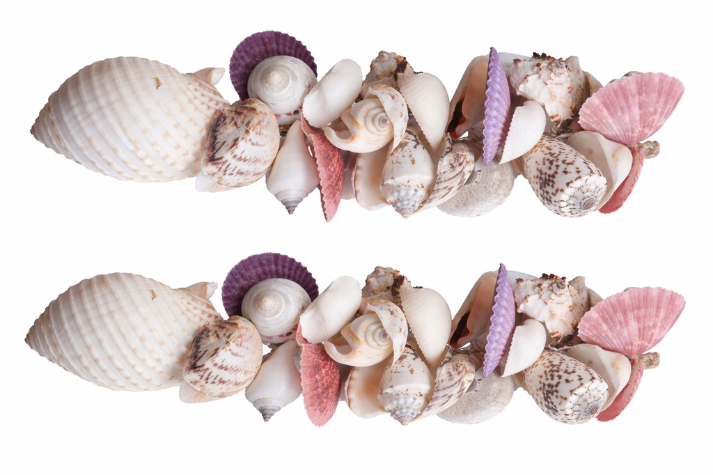 GRAPPOLO CONCH DA APP ALL WHITE 