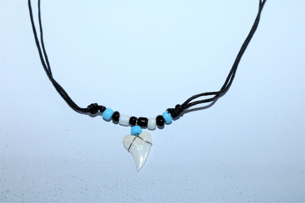 COLLANA  CONCHIGLIA 