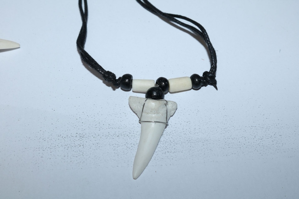 COLLANA  CONCHIGLIA 