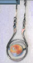 COLLANA  RAME E CONCHIGLIA 