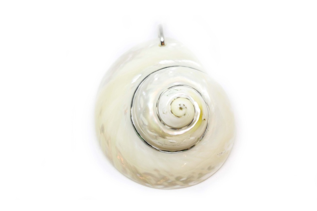 PENDENTI   CONCHIGLIA 